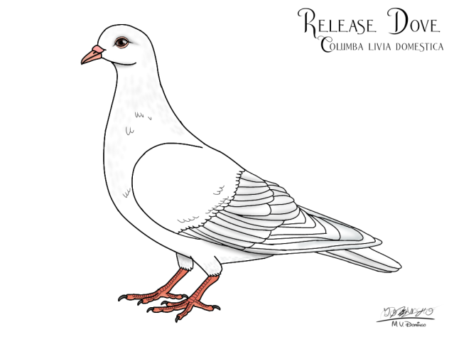 Release Dove no leaves