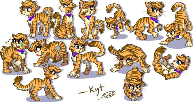 More Cat Lula Shenanigans