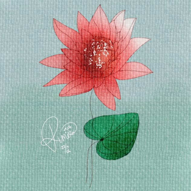 Water Lily - ibisPaint
