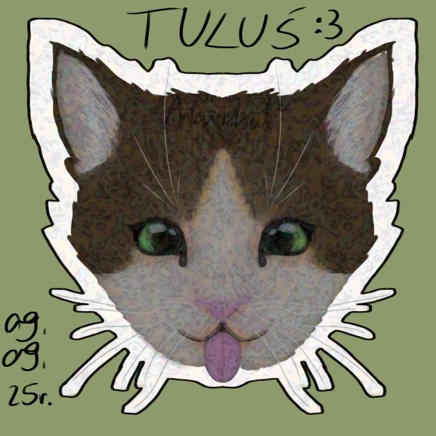 Tuluś