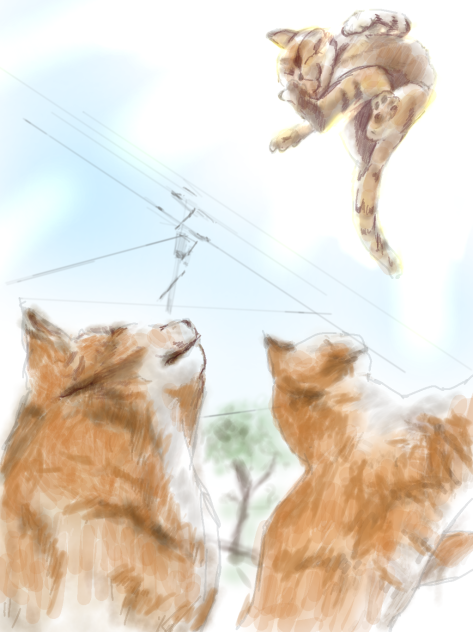 と、飛んだ！！