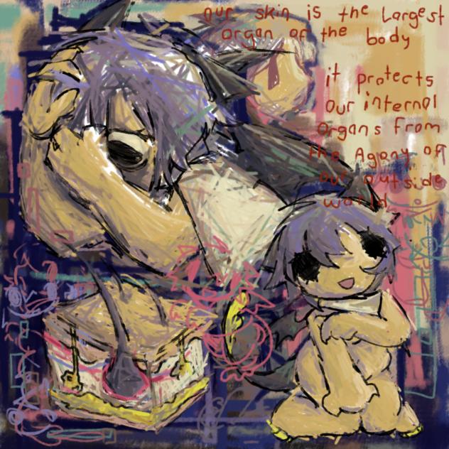 Integumentary anatomy