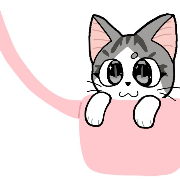 cat chi