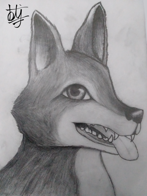 Wolf-Dog that looks nothing like one lol