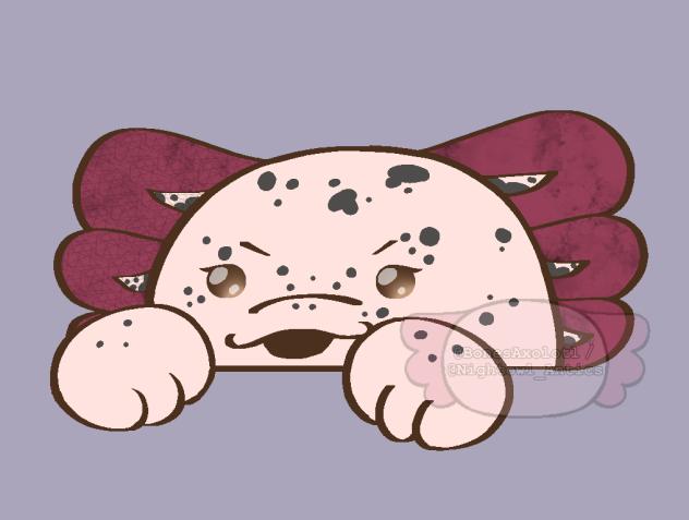 Smug Axolotl