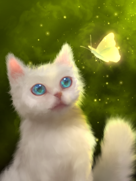 White Kitten