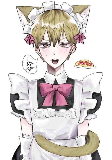 𝐦𝐚𝐢𝐝にゃおや🐱