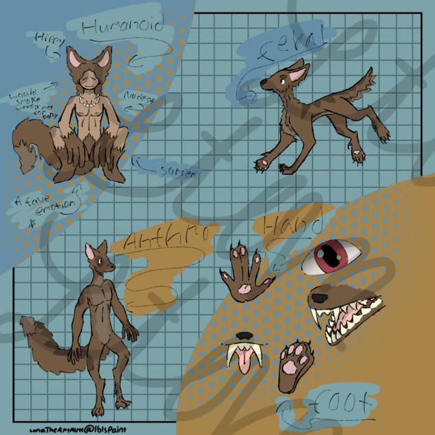 Skyler Carefree (Mutt Of Unknown Breed)