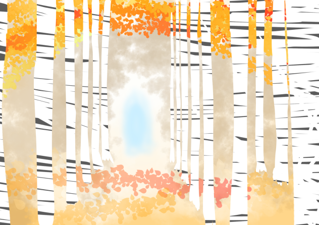 a path in a birch forest