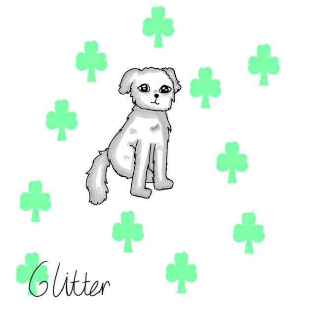Maltese dog