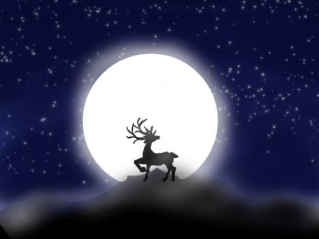 deer in the night sky