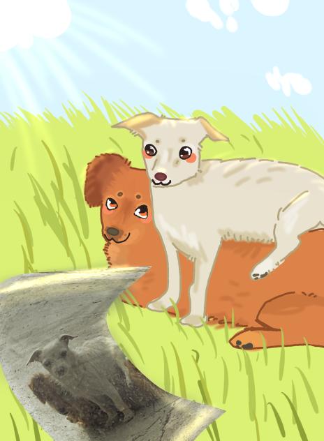 my dogs 🧡🩵