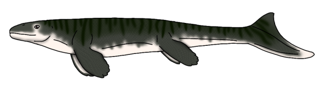 Prognathodon currii render