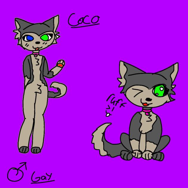 Coco!.OC