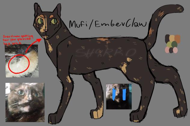 Turned my cat into a warrior cat 😭✌💔
