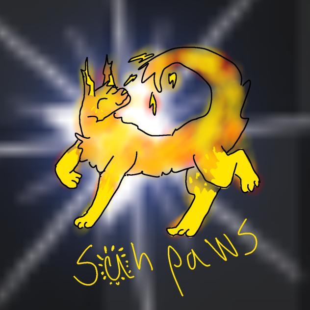Sunpaws!!!!!!