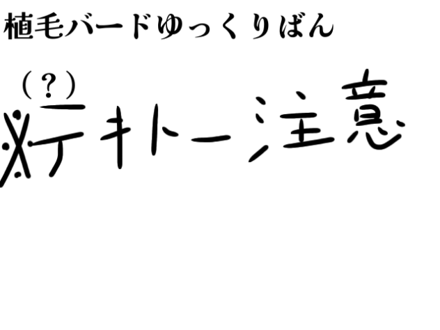 植毛バードゆっくりばん