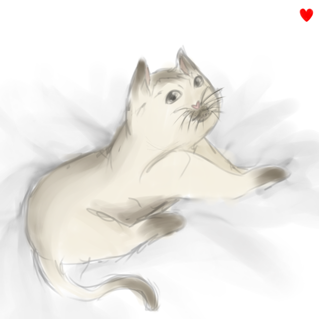 A cute cat - ibisPaint