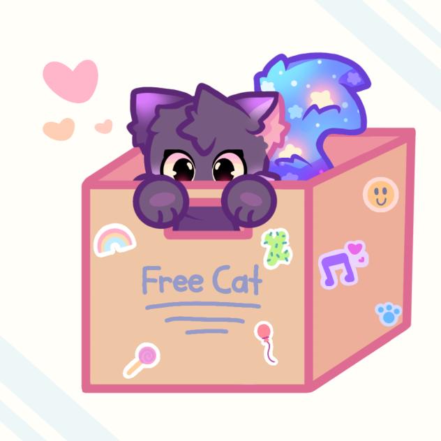 Kitty in a box