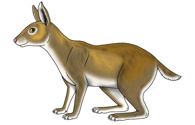 Pachyrukhos absis render