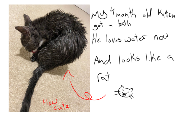 guess who took a bath