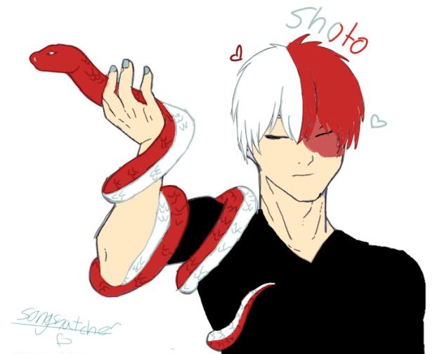 Shoto and His Snake