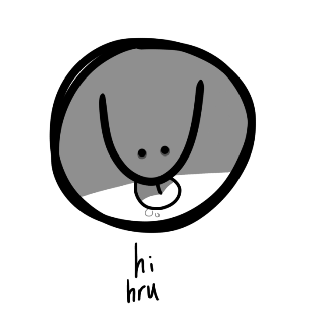 idk