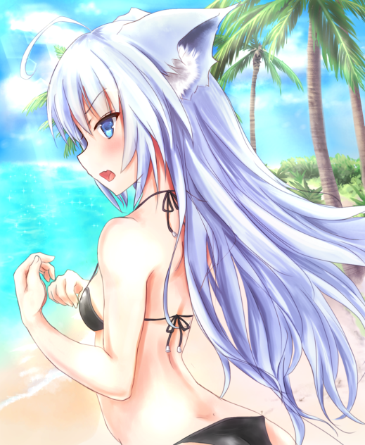 ケモ耳黒ビキニ