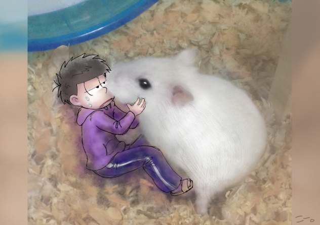 うちのハムと一松