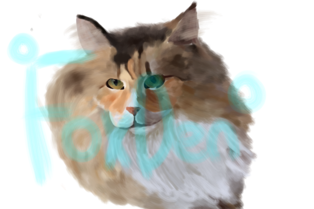 Norwegian Forest Cat - ibisPaint