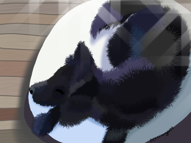 Semi-Realistic Dog Portrait (Request) -