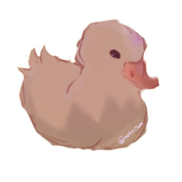 DUCKIE