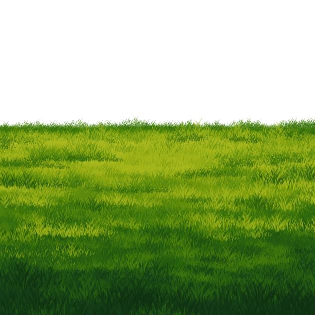 Grass Field 2