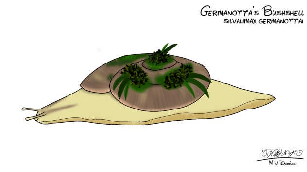 Germanotta's Bushshell