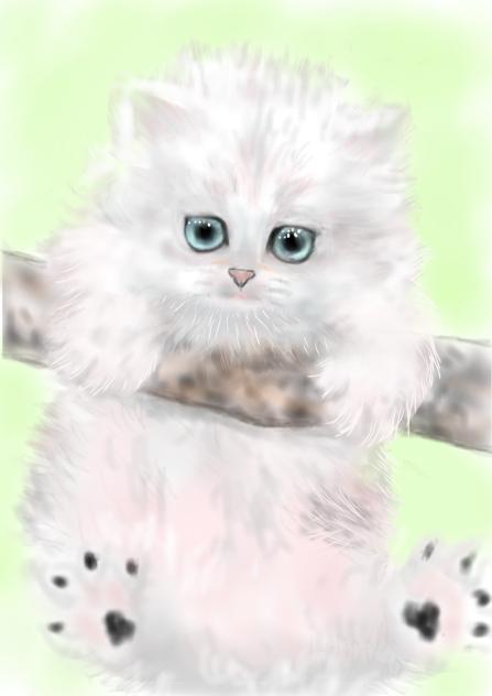 ねこ12