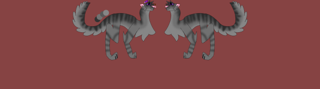 cat I did for an adopt