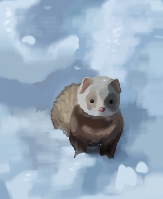 Howe do pepol draw snou