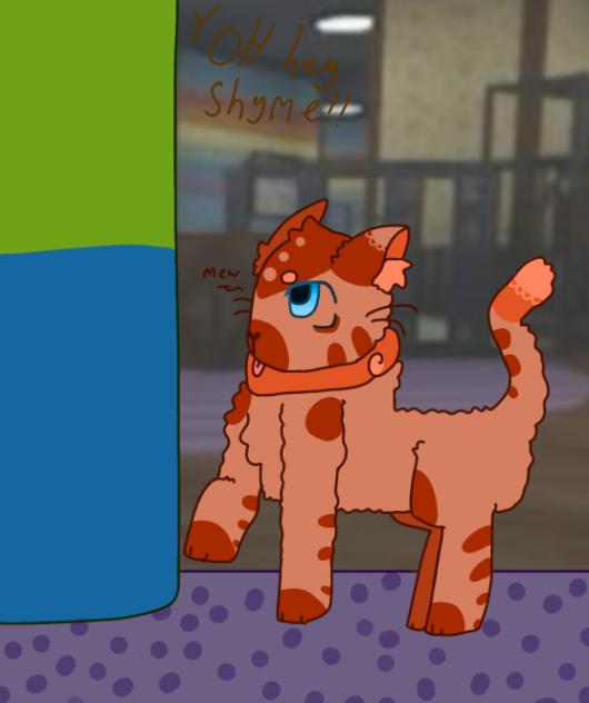 Shymeeeeeee