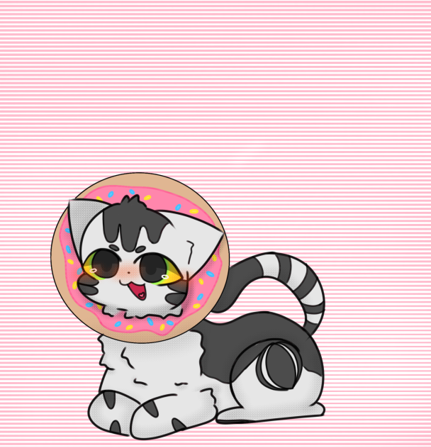 Donut Cat🍩🐱