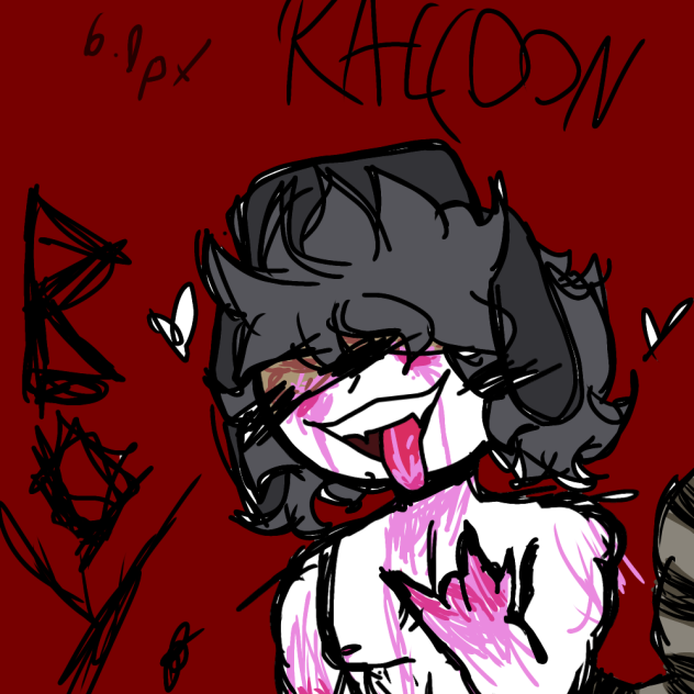 Raccoon Boy