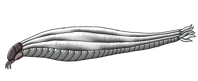 Silickworm render