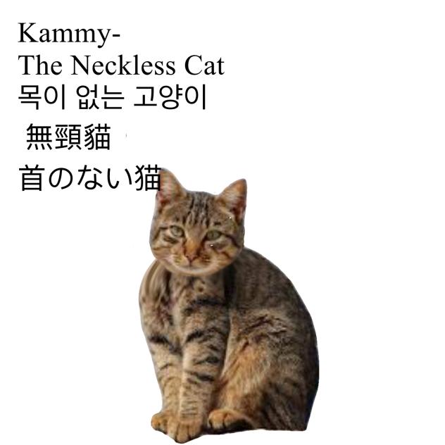 No neck cat!