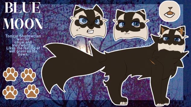 Blue Moon - reference sheet