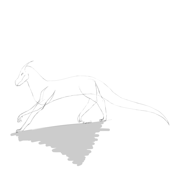 Sketch
