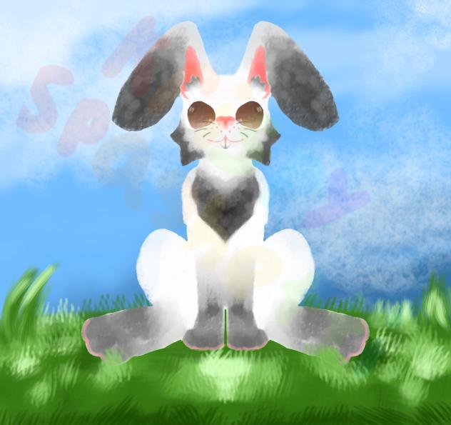 Bunny 2.0