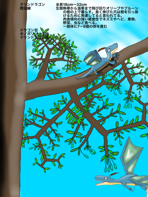 クリンドラゴン