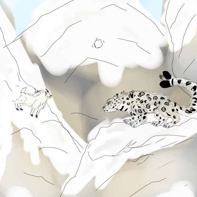 Snow leopard