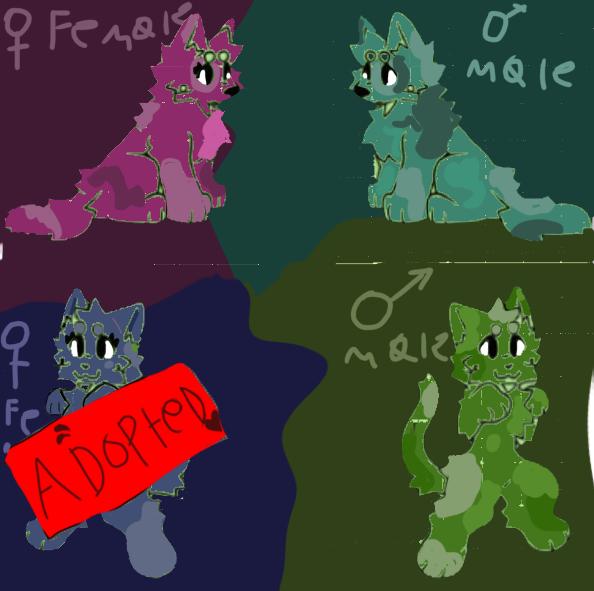 Up for adoption!!!
