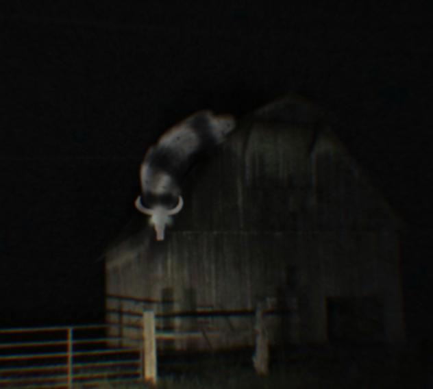 The Guardian Bull (Fanmade Monster)