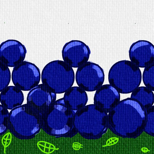 the great wall of blueberry’s& lava leaf